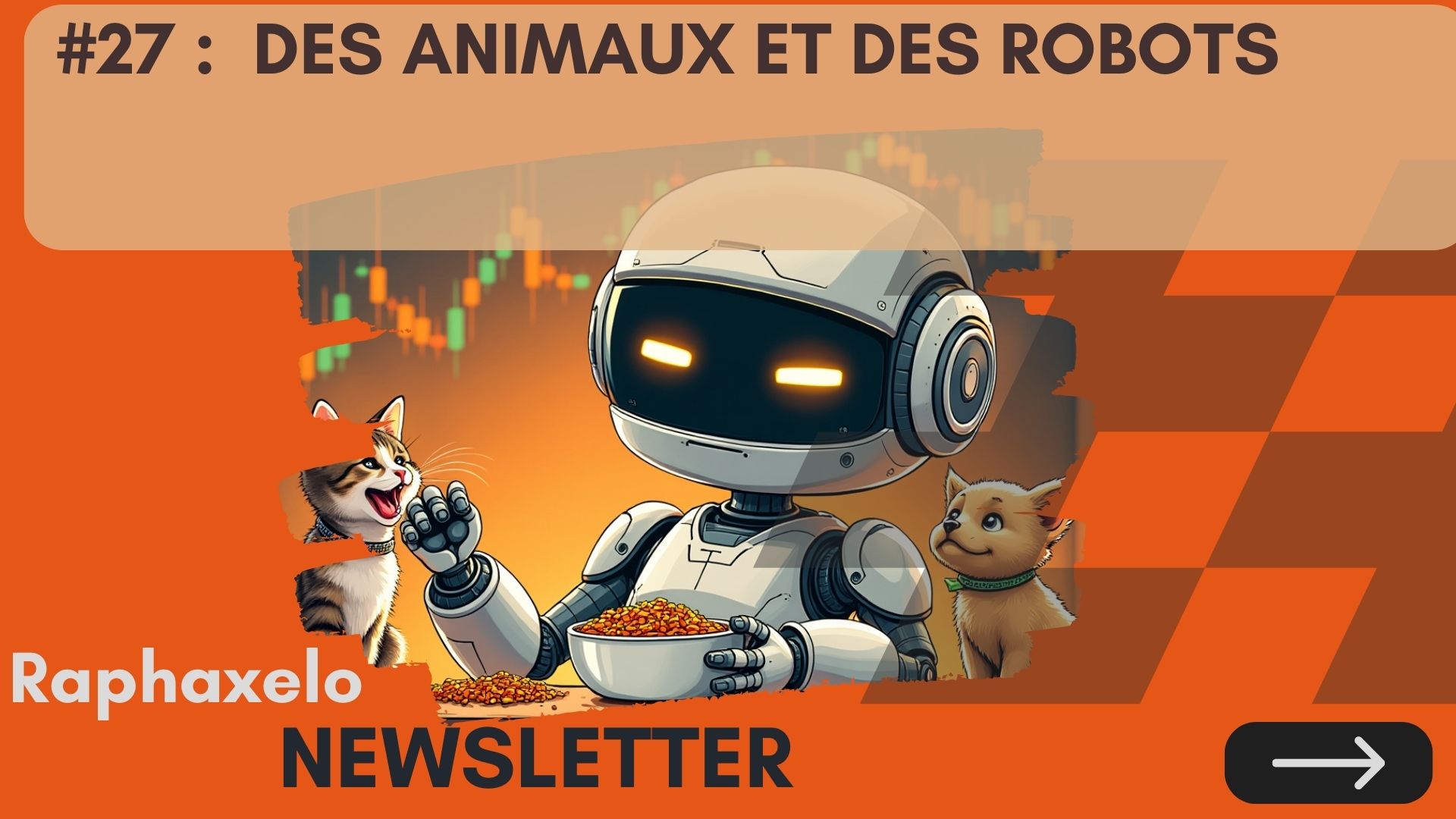 Newsletter #27 : Des animaux et des Robots