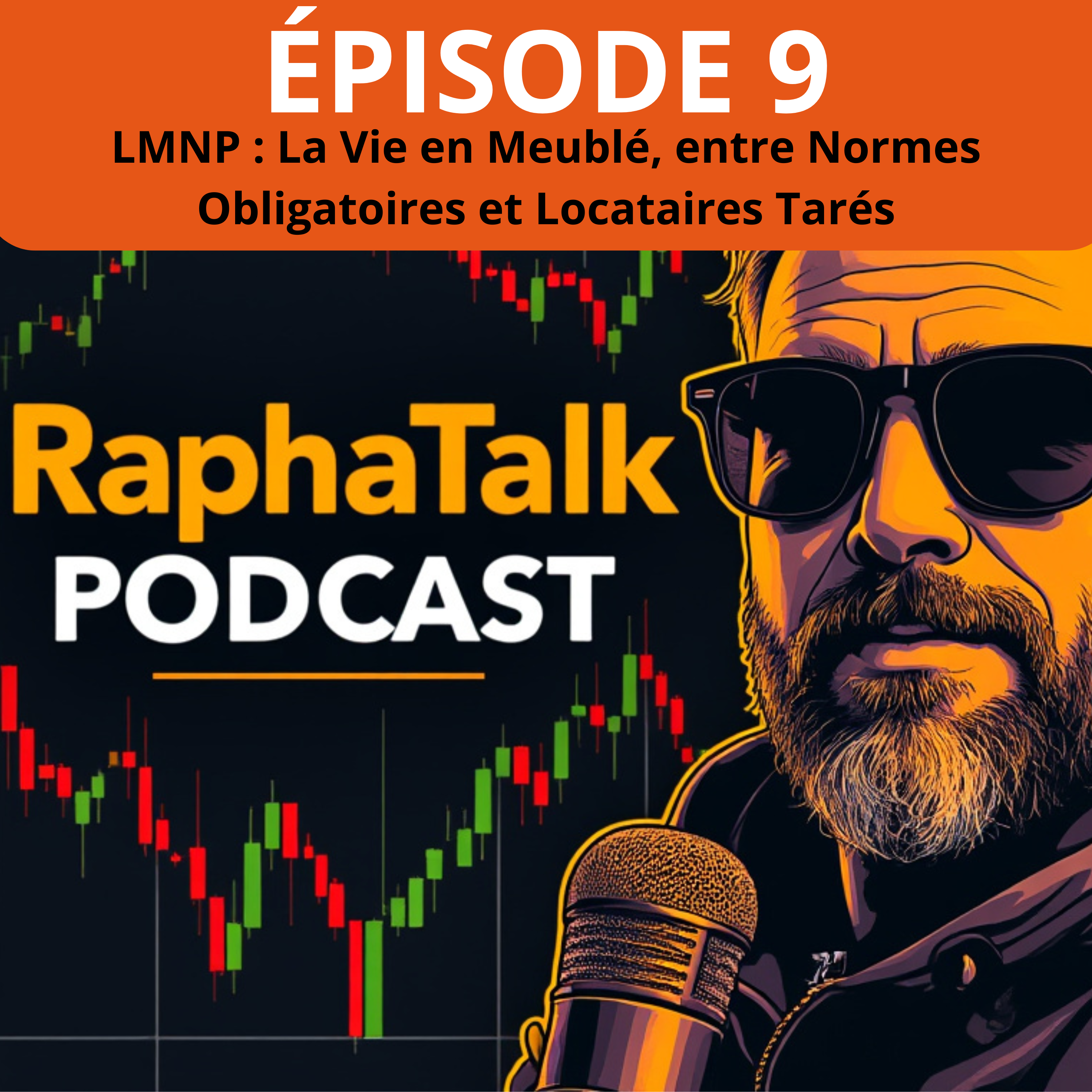 Episode 9 : LMNP : La Vie en Meublé, entre Normes Obligatoires et Locataires Tarés