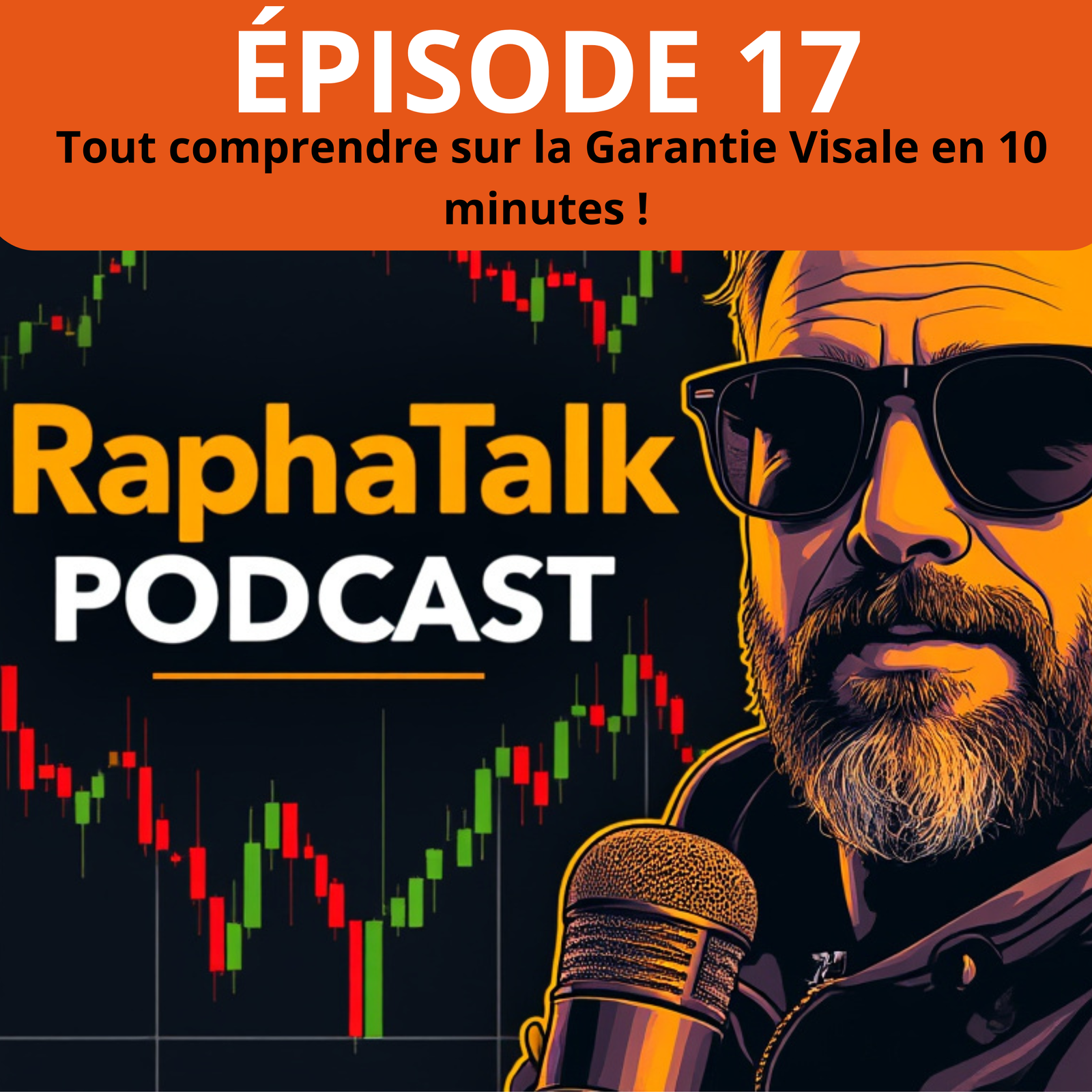 Episode 17 Tout comprendre sur la Garantie Visale en 10 minutes !